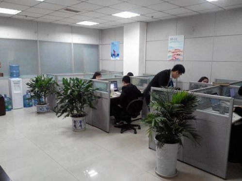 青島梓塾投資咨詢 專業經濟信息咨詢服務的價值與優勢