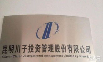 昆明川子投資管理咨詢公司 專業投資咨詢，賦能企業成長與財富增值