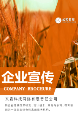 木森網(wǎng)絡(luò) 以城市智慧基因，驅(qū)動(dòng)數(shù)字創(chuàng)新未來(lái)